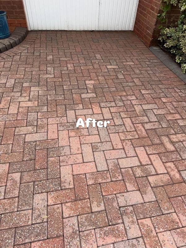 Patio Soft-Washed after cleaning